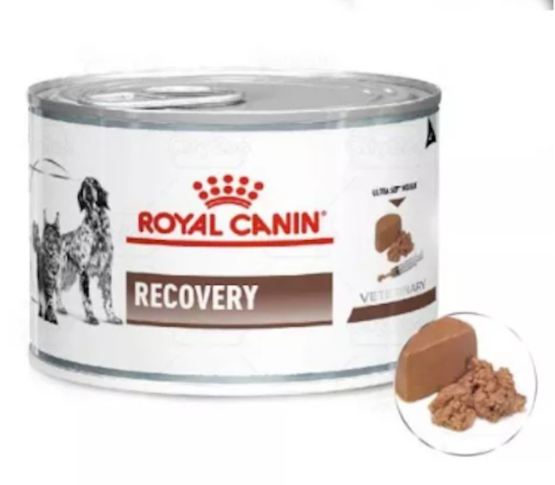Pate Royal Canin Recovery 1