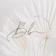 BB Nail Eyelash 1