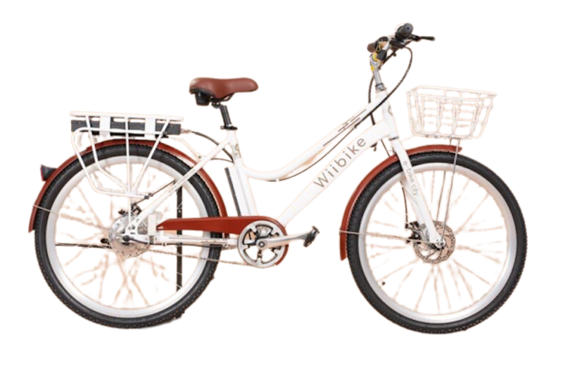 Xe Đạp Điện Trợ Lực WiiBike Summer 1