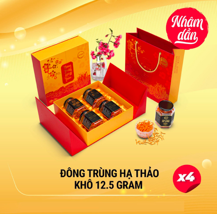 Bộ Quà Tặng Đông Trùng Hạ Thảo Thượng Hạng CordyHappy 3