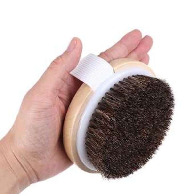 Bàn Chải Tắm Lông Ngựa 1