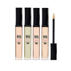 Big Cover Concealer Skin Fit Pro