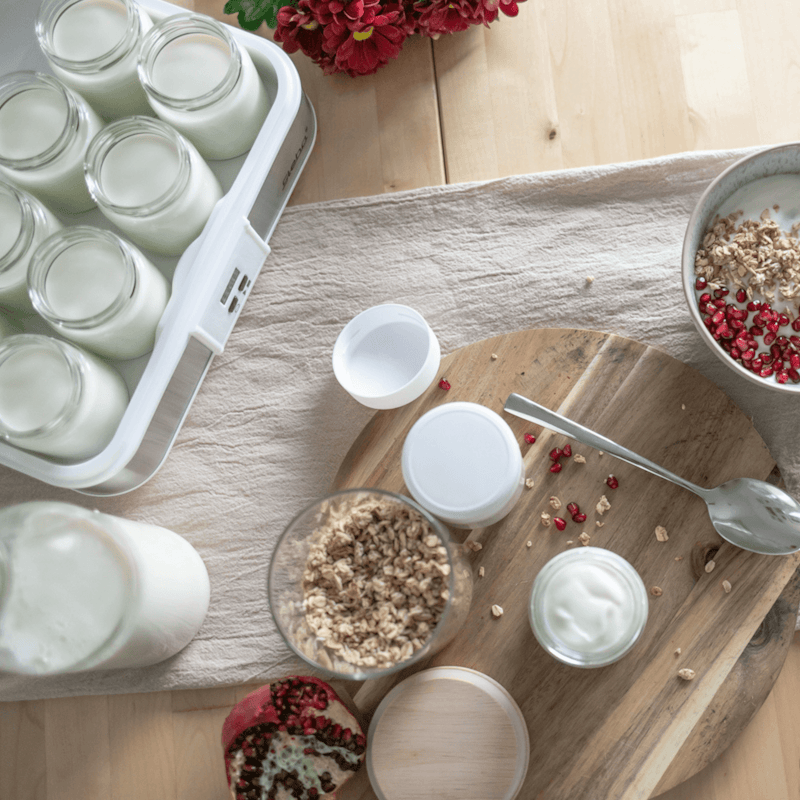 Máy Làm Sữa Chua Steba 2