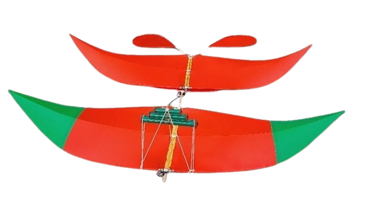 Diều Sáo 1