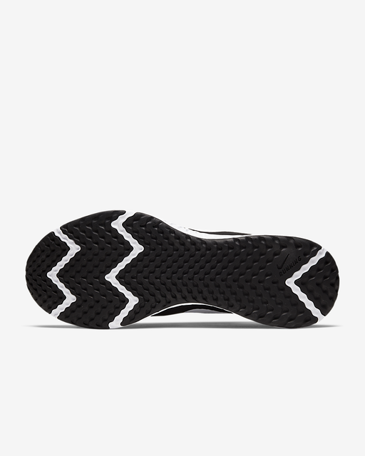 Nike Revolution 5 2