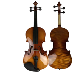 Đàn Violin ShangHai