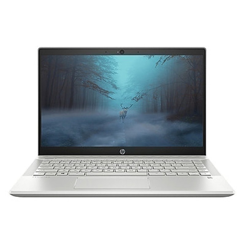Laptop Pavilion 14-ce2034tu 1