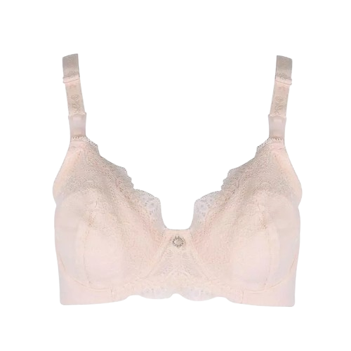 Áo Lót Mẹ Bầu & Cho Con Bú Wacoal 2