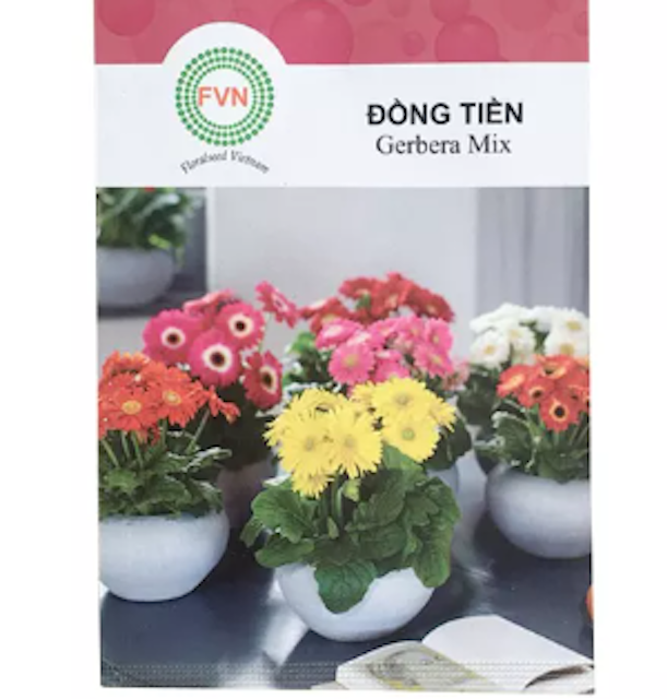 Hạt Giống Hoa Đồng Tiền Lùn Gerbera Mix FVN 1