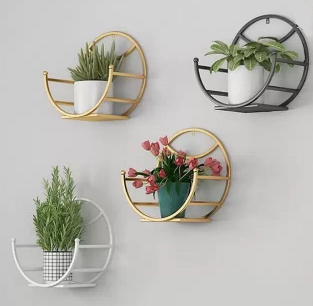 Giá Treo Cây Cảnh Dán Tường 1