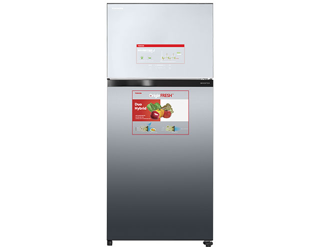 Top 7 Tủ Lạnh Toshiba tốt nhất hiện nay (Tư vấn mua) 4