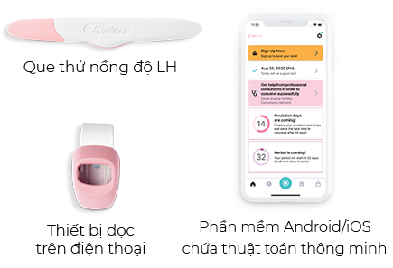 Nhiều Tính Năng Hơn: Chọn Loại Điện Tử