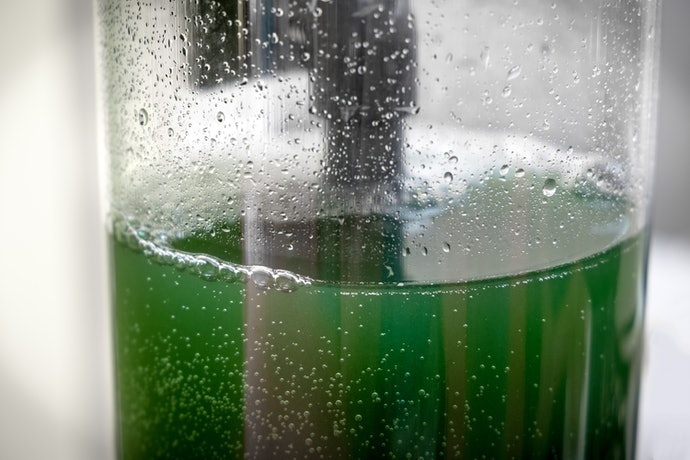 Chọn Sản Phẩm Từ 100% Tảo Xoắn Spirulina