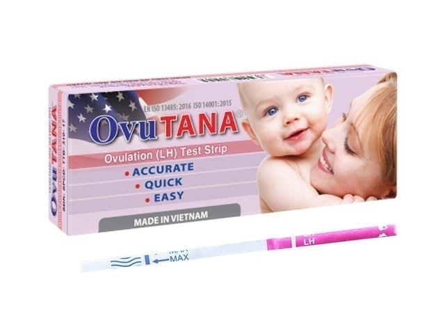 Chỉ Cần Chức Năng Đơn Giản: Chọn Loại Thường