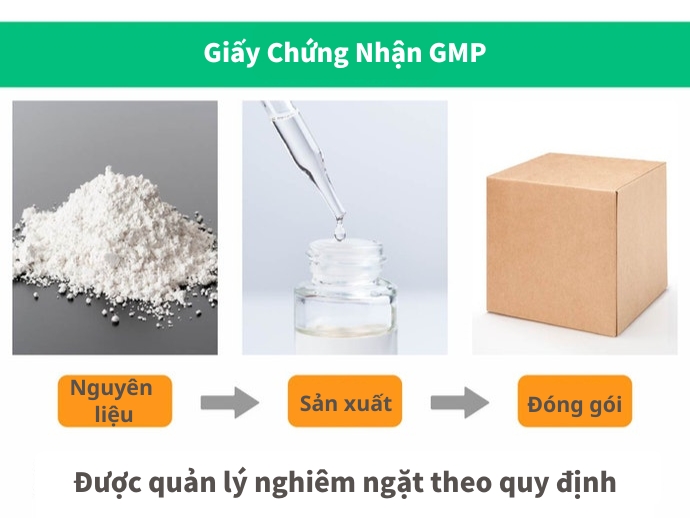 Kiểm Tra Giấy Chứng Nhận GMP
