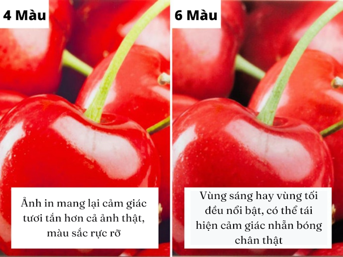 4 Màu: Đẩy Tông Màu Của Các Vùng Sáng, Đem Lại Hiệu Ứng Filter