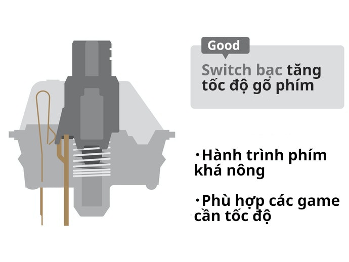 Switch Bạc: Thích Hợp Cho Các Game Thủ Cần Tốc Độ Gõ Phím Nhanh
