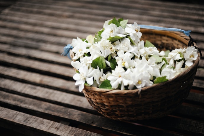 Mon Jasmin Noir L'eau Exquise: Như Hoa Nhài Nở Rộ Trong Vườn Hè