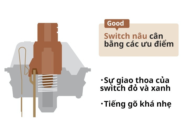 Switch Nâu: Thích Hợp Cho Những Người Mới Sử Dụng