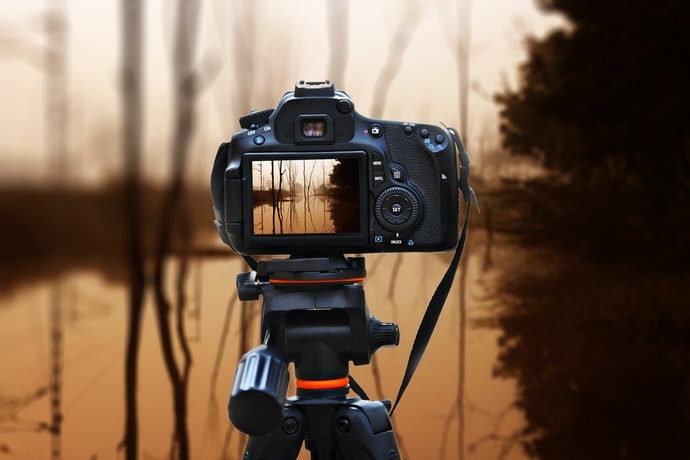 Máy Ảnh Có Kính Ngắm Trên Máy (Viewfinder)