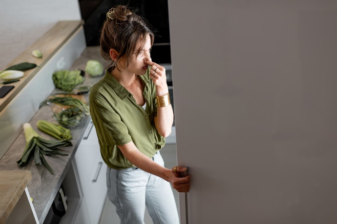 Tủ Lạnh Có Chức Năng Khử Mùi Hay Không?