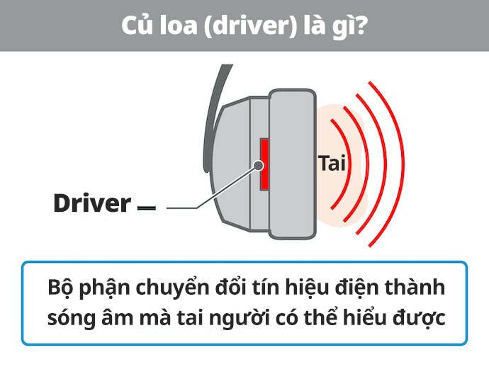 Độ Lớn Của Driver Cũng Có Thể Ảnh Hưởng Đến Trải Nghiệm Âm Thanh