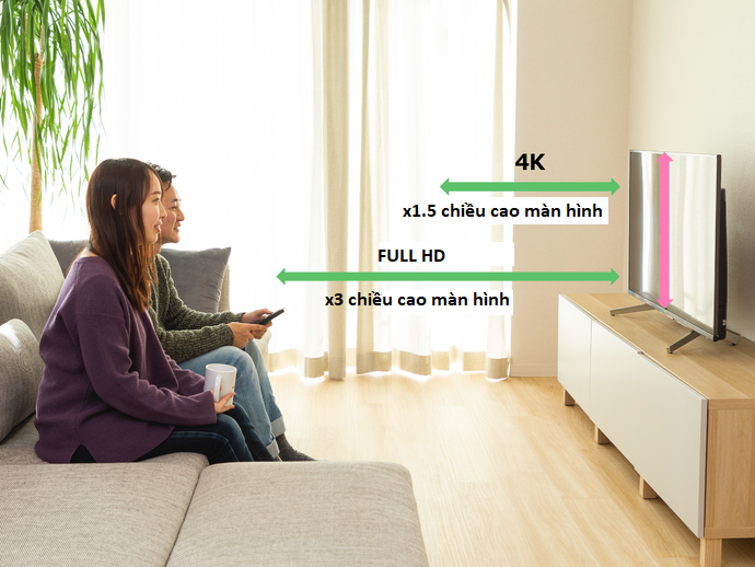 Chọn Kích Thước Phù Hợp Với Không Gian