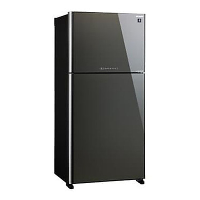 Loại 2 Cửa: Dung Tích & Giá Thành Đa Dạng, Nhiều Sự Lựa Chọn