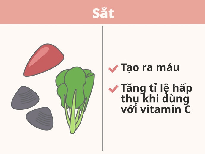Sắt: Cho Những Người Bị Thiếu Máu, Chóng Mặt