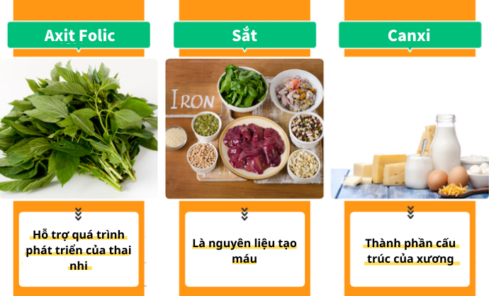 Sản Phụ, Người Đang Cho Con Bú: Bổ Sung Sắt, Canxi, Axit Folic