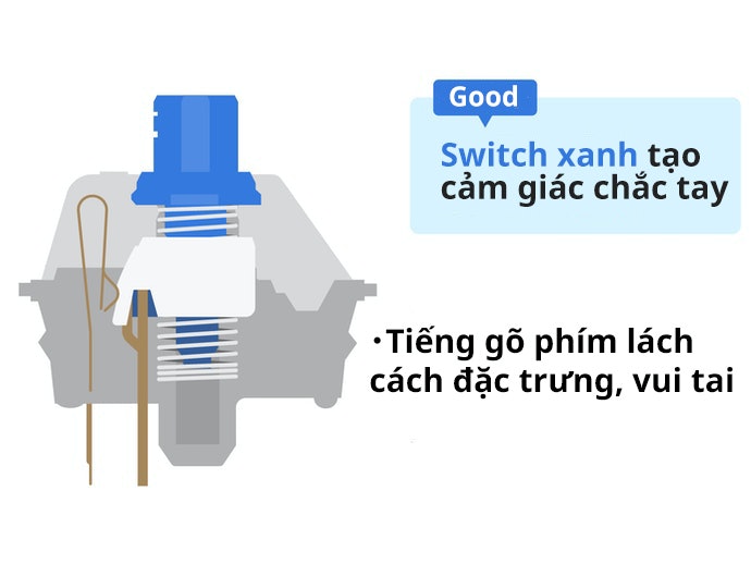 Switch Xanh: Cảm Giác Gõ Chắc Chắn
