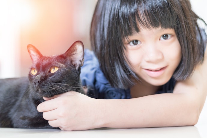 Để Khử Mùi Thú Cưng, Khử Mùi Hôi Nhưng Lại Nhạy Cảm Với Mùi Hương: Chọn Xịt Phòng Khử Mùi Không Mùi