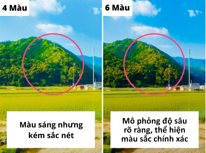 6 Màu: Màu Sắc Chân Thực, Độ Tái Hiện Cao