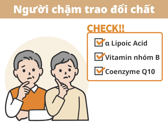 Cho Người Chậm Trao Đổi Chất: ALA, Vitamin Nhóm B, Coenzyme Q10