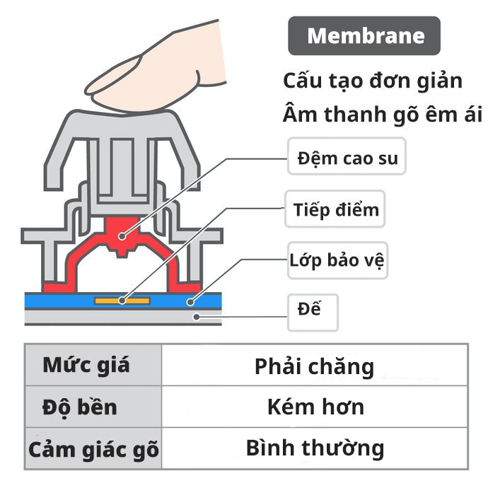 Bàn Phím Membrane: Thông Dụng, Giá Cả Phải Chăng