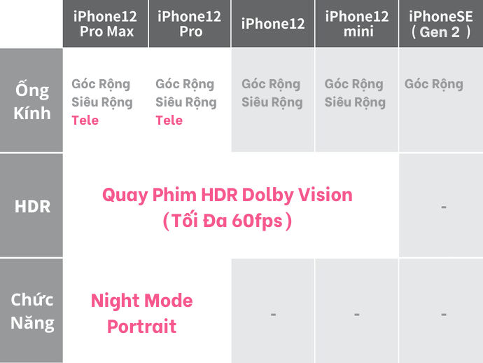 Hiệu Suất Camera: Nếu Ưu Tiên Chất Lượng Hình Ảnh, Nên Chọn Pro Hoặc Pro Max